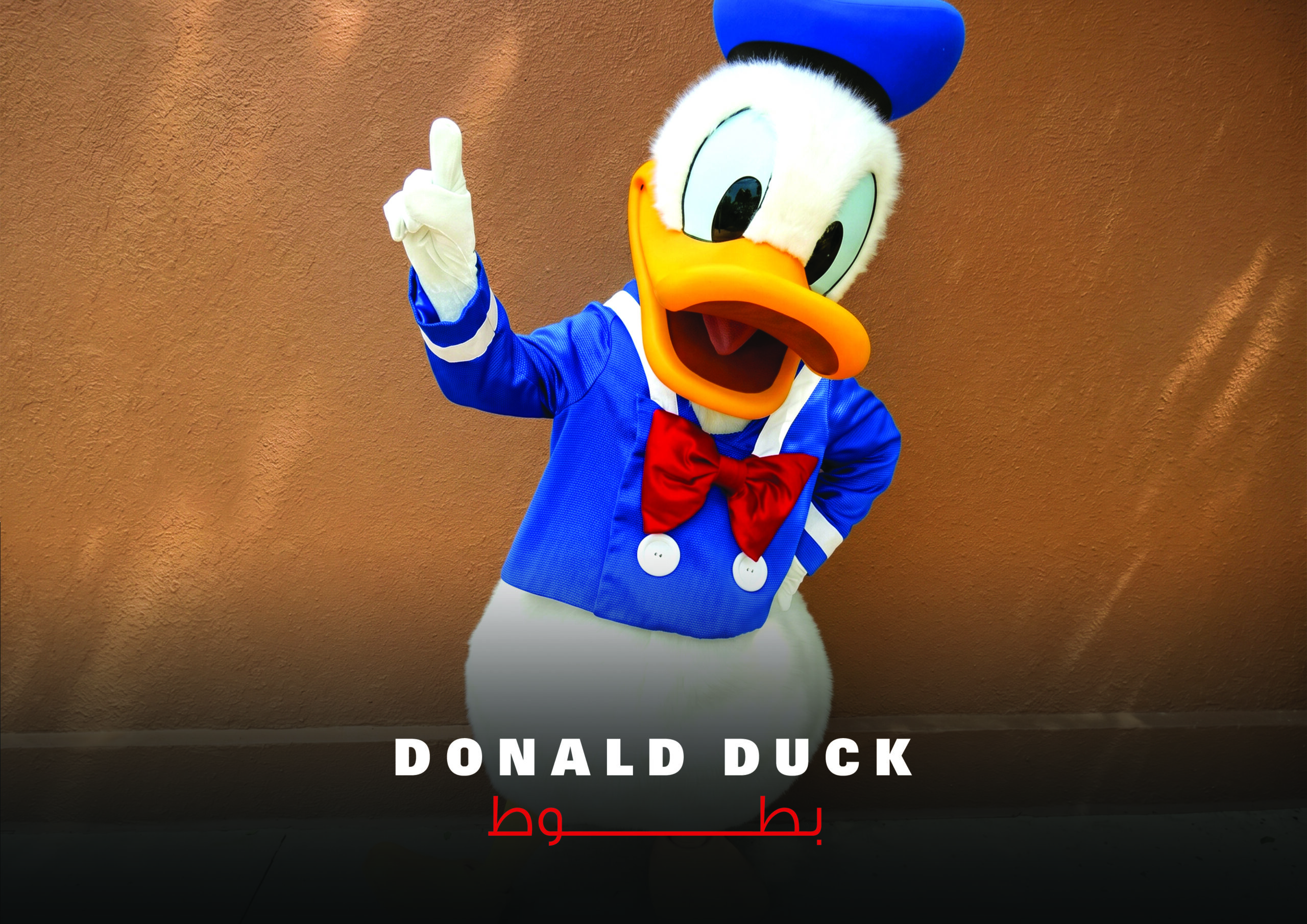 بطوط