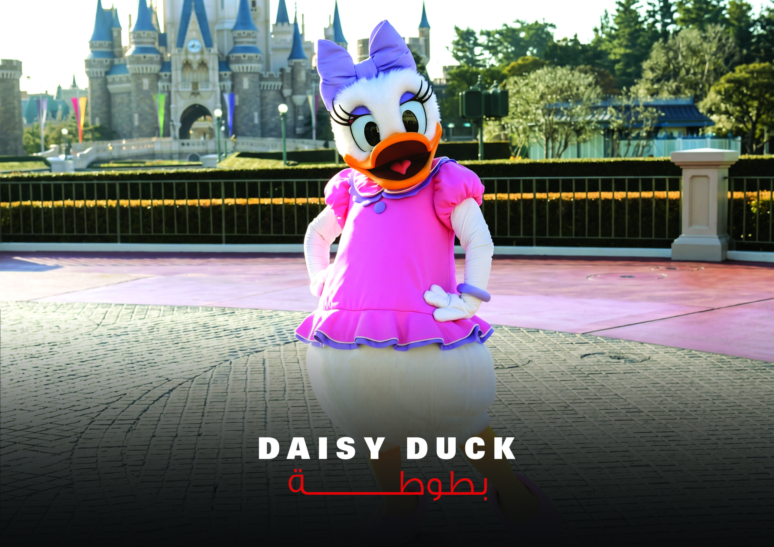 بطوطة